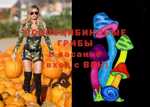 гашиш Бородино