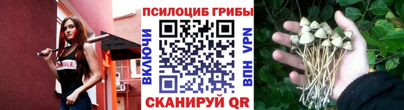 МЕГА онион  Пыть-Ях  Галлюциногенные грибы Psilocybine cubensis 
